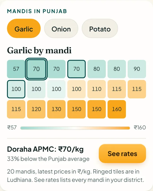 Price map of mandis in Punjab for garlic, shown as coloured tiles